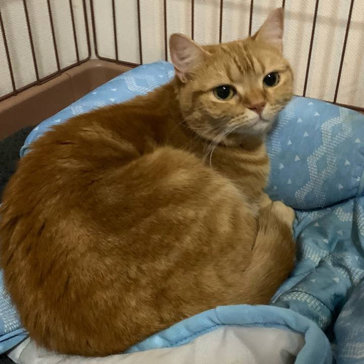 820d22fd 7c8f 4940 8222 95c2357faecd 1629537074092