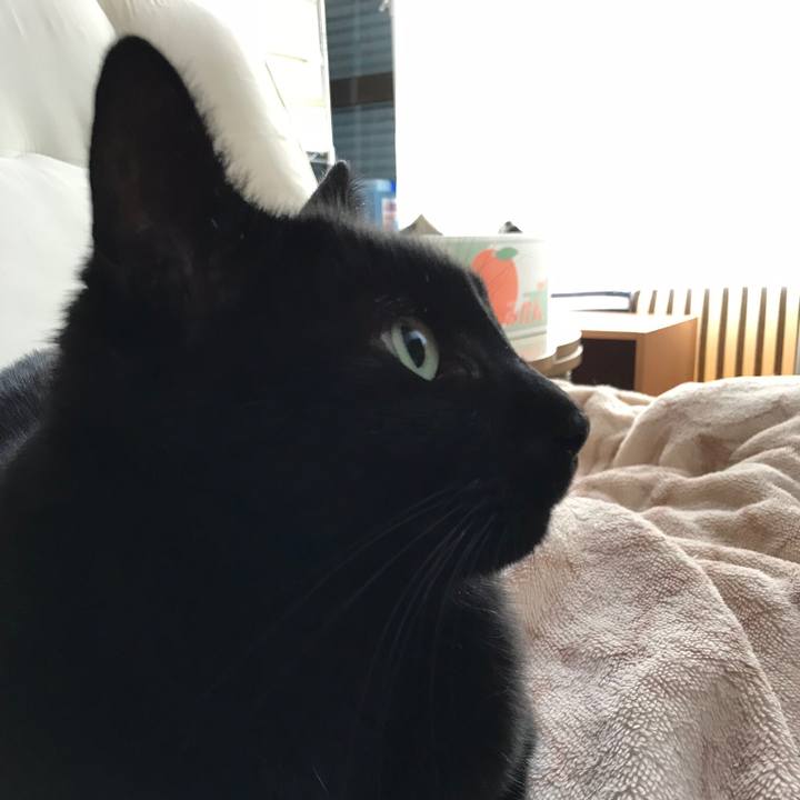 820d23b0 b902 4e85 89b2 0c68be5e1c10 1516151493692