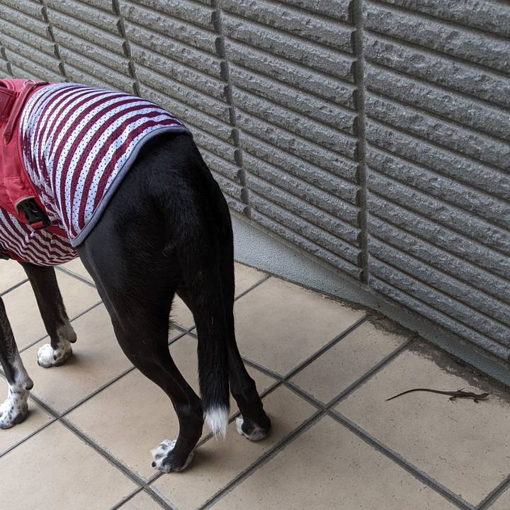 820d3ae0 6000 4e20 b659 d99a555d3d0a 1690415897647