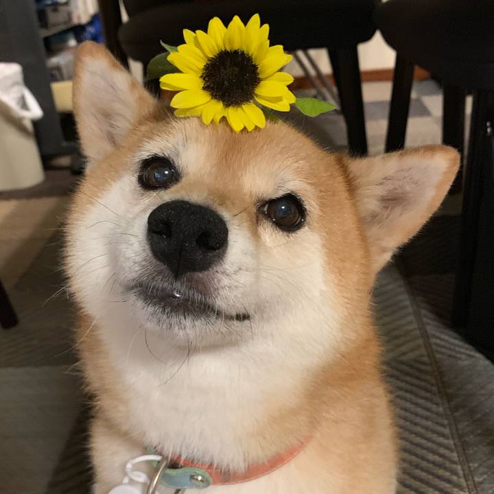 820d4121 1be7 45f8 9125 eff609865f43 1564402077201