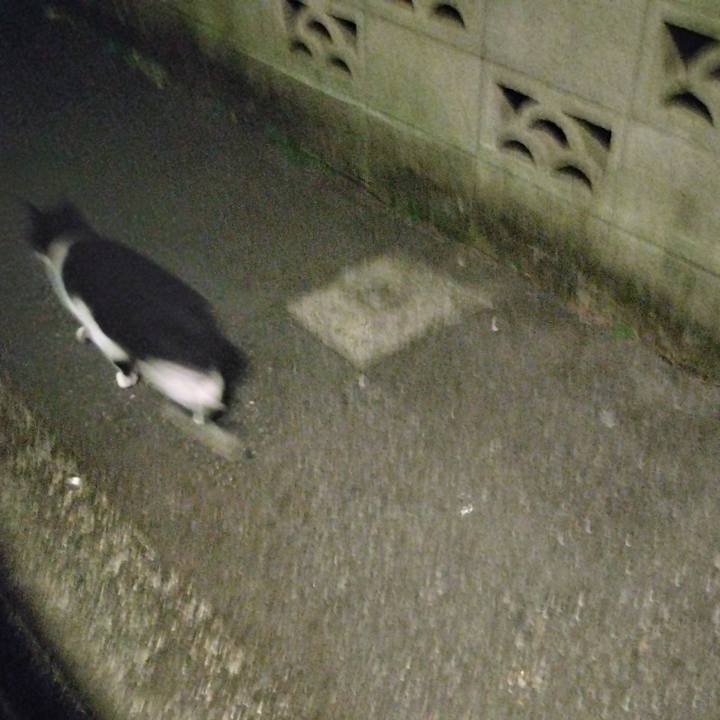 820d4693 a3df 4d41 ace3 d60a479a05bf 1703247725553