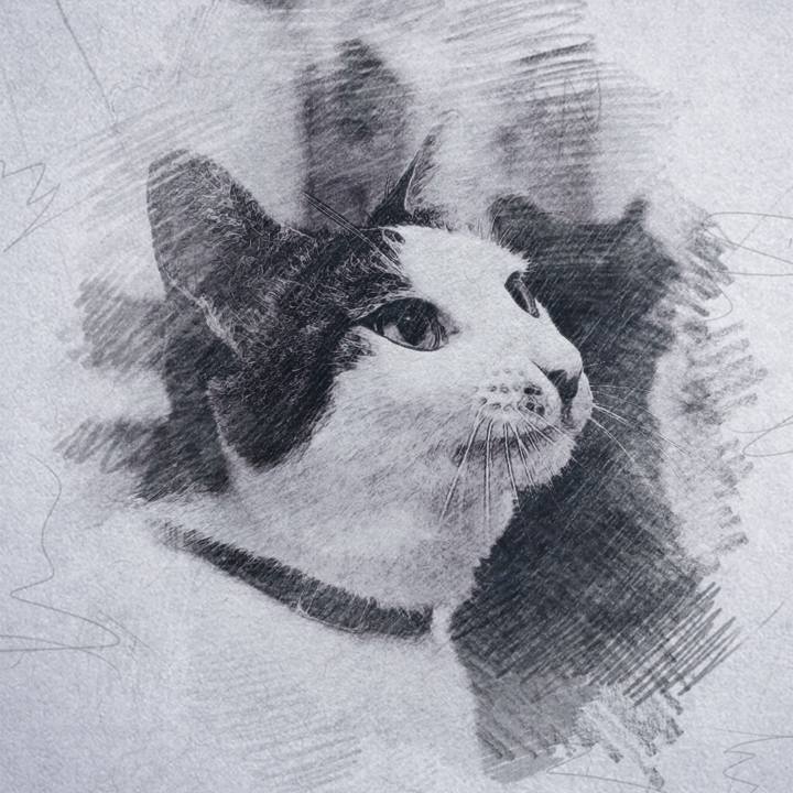 820d7421 ac99 4473 96f2 179f996f0626 1510269706033