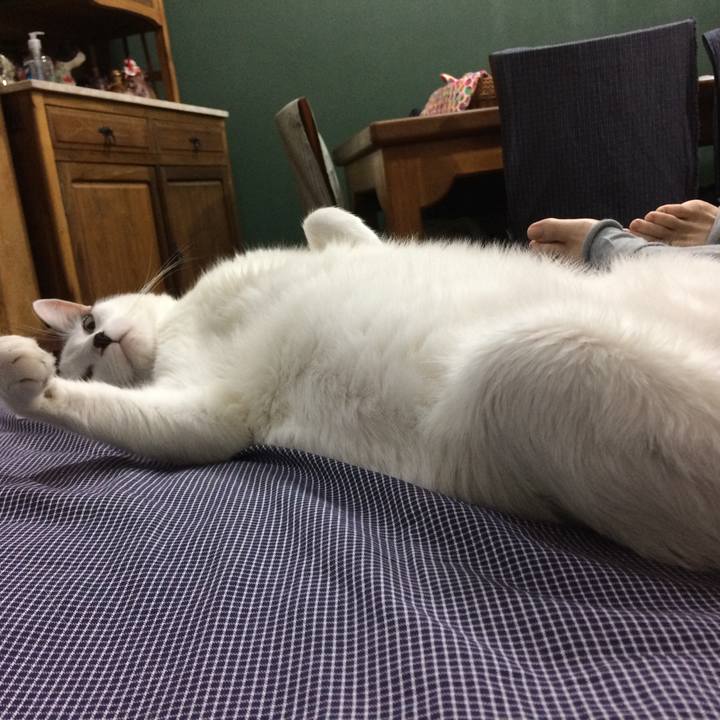 820d7d93 6866 4b90 8e81 1625cf8ae2e2 1554912460323