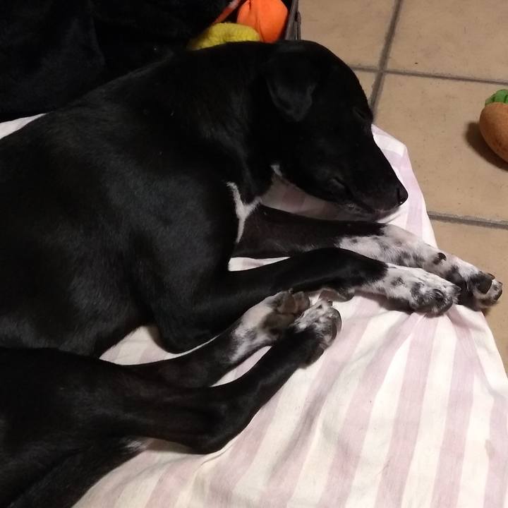 820d8a41 730d 40a3 b452 c75ec509e973 1581810774270