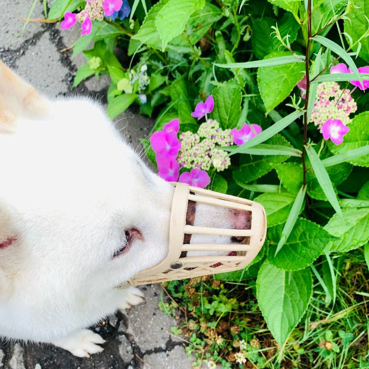 820d9196 d2bc 42be 86af 6a8c4f4b9a7c 1658005356725