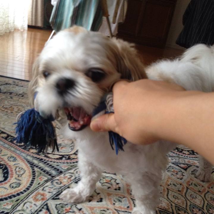 820d94e9 d89f 46df bb4c 00505b041c17 1508638914364