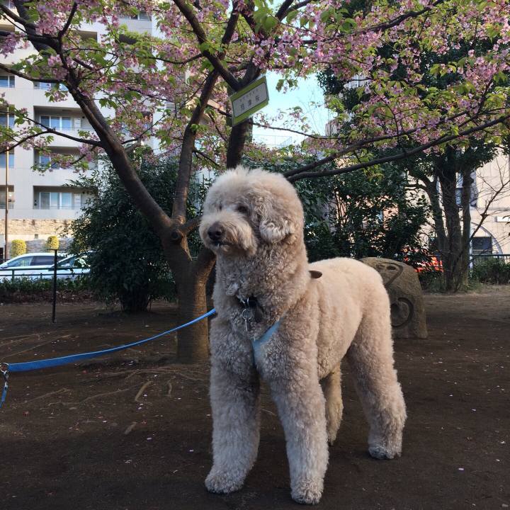 820da8a5 3341 4ffb a6ff 451c35f741b7 1552729791582