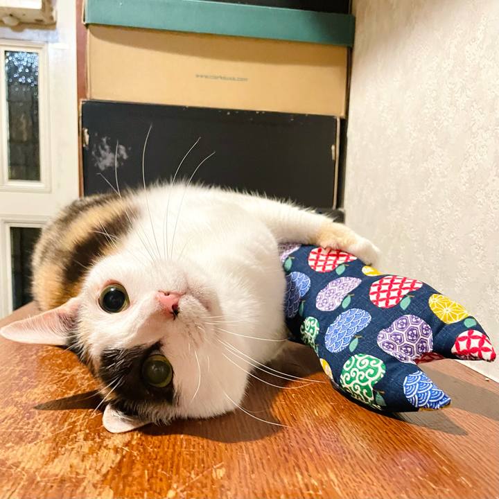 820dd39e 6236 437f abba edc806796431 1655603094908