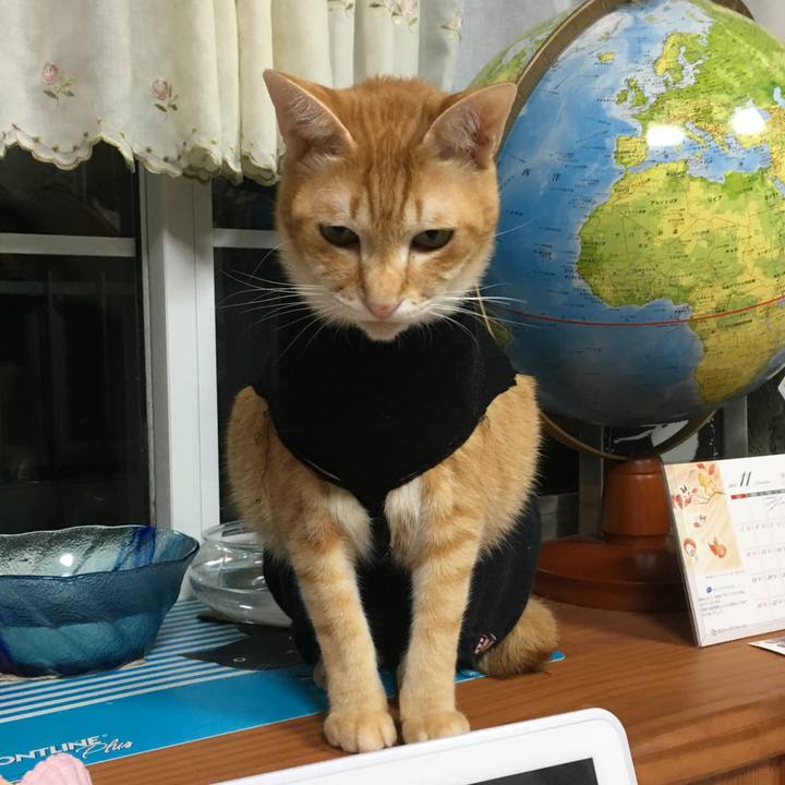 820e5923 da06 4515 b8b1 e22a0b756f63 1510230576516