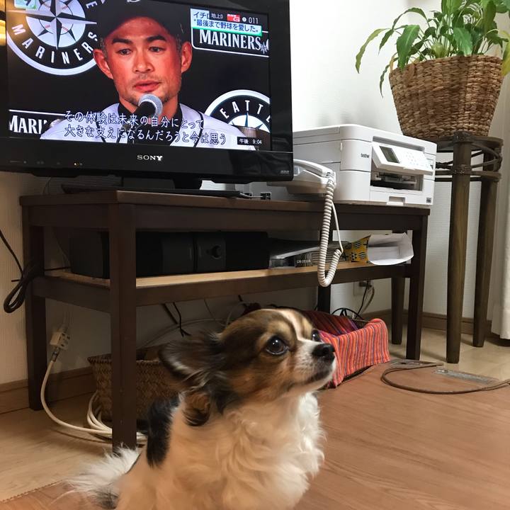 820e5f50 07dc 42e7 a816 a232e6c0ce94 1553256435686