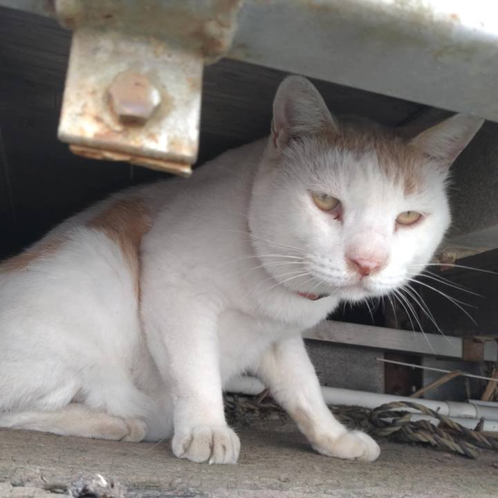 820e842a 1ba1 4473 a015 1a2ddf6353be 1755820335220