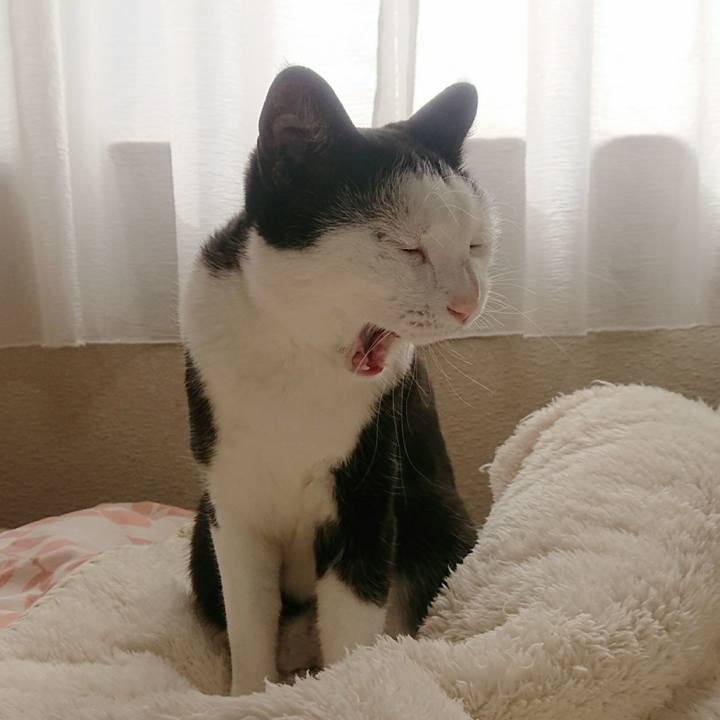 820eb35f fcf7 4b1d abb8 ef834d5842a1 1517534403591