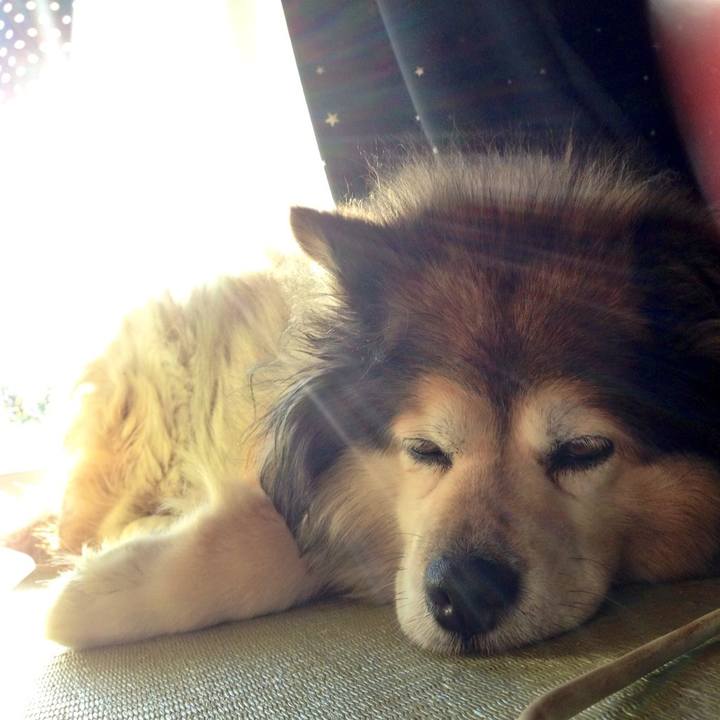 820edf18 854e 40e0 948e d6d51b0511a4 1606547517608