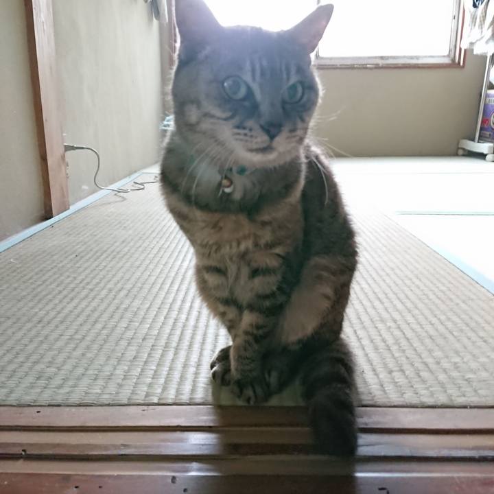 820f0d5c 995a 4d72 8423 e7e792df1a92 1569977794829