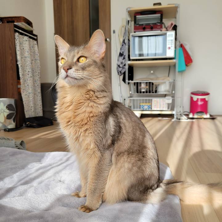 820f4ca9 32fb 4385 a9db ef8f5a24e0ef 1639030557355