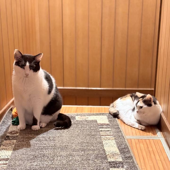 820f5df7 413f 4a3b 8b86 9481357fb94a 1758674880430