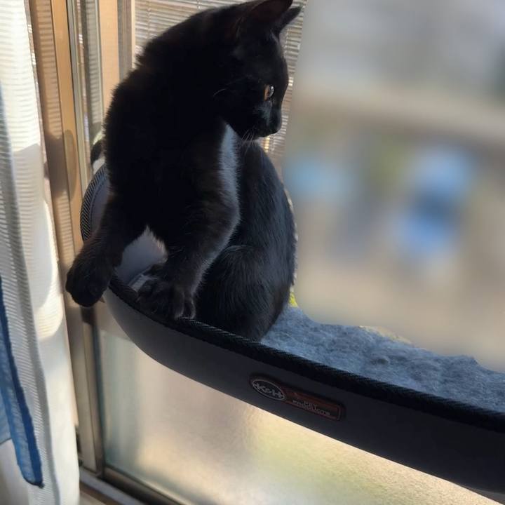 820f6909 c833 432b a025 21e5e0b80acc 1725597255748