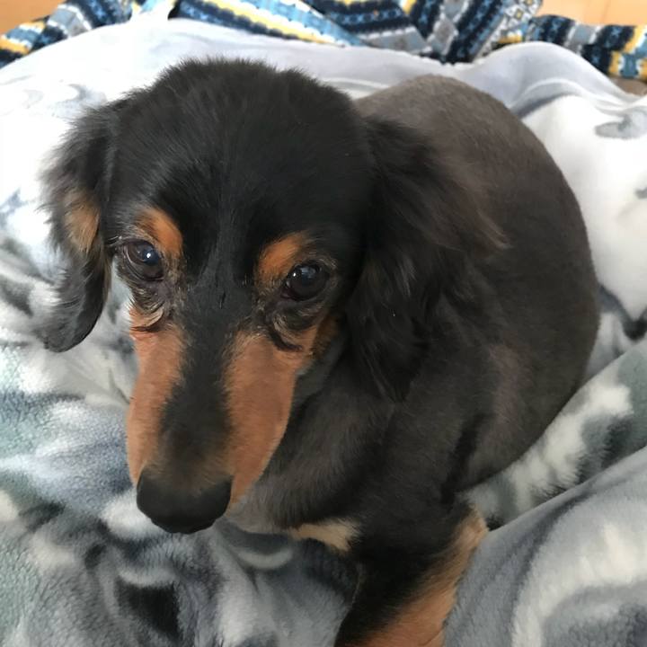 820fa1a6 153f 4df4 8e5d ffc337ab5f55 1516836497242