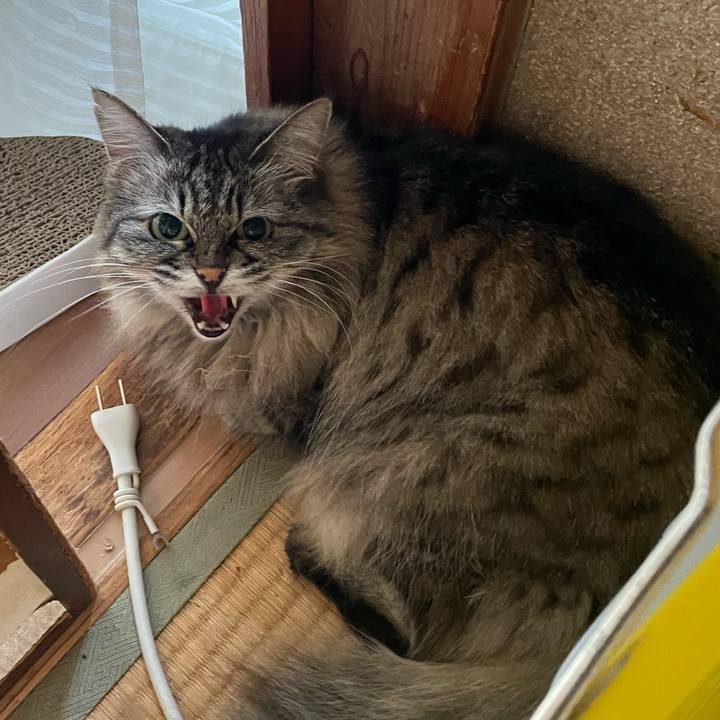 820fbc2b 2713 41b9 889d 4dab85f200bf 1747300395041