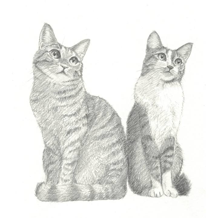 820fbfe3 1ce3 498d bf33 5780a49a8cdf 1538962735934