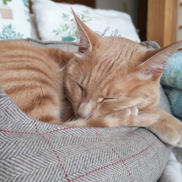 820fcb41 59e8 4b46 a2c0 56fff385afbc 1572066484282