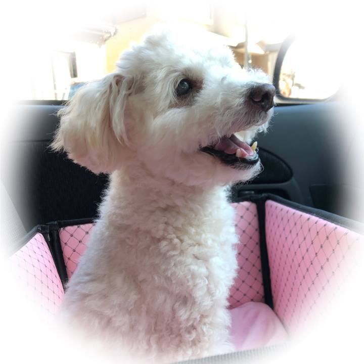 820fd01a 51d2 4c02 bbe9 be84f133cf36 1550040822166