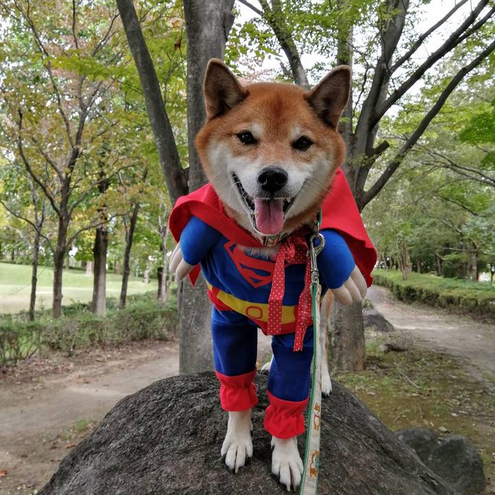 820fe628 48a4 438e 9714 c7448899af96 1632829927953