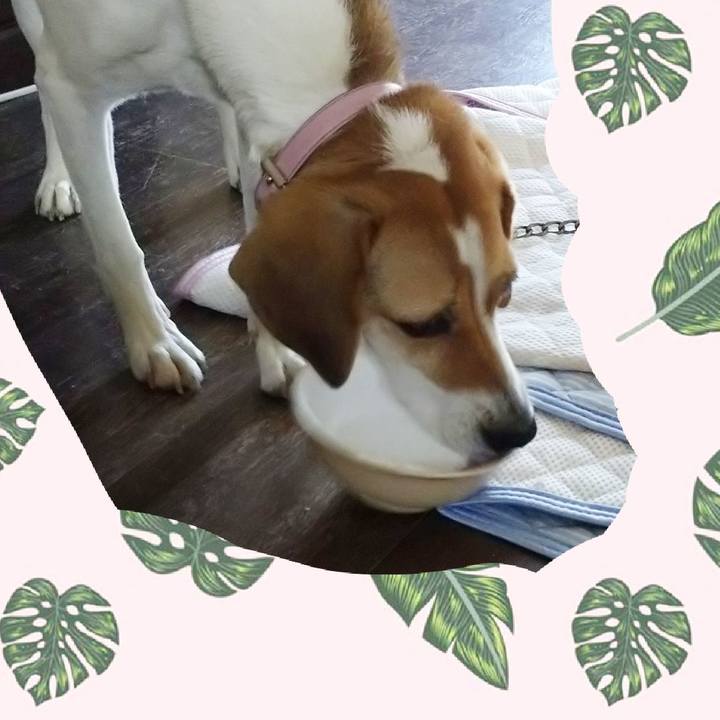 82100207 c8e9 46d1 a350 ef544d92a07c 1594797636784