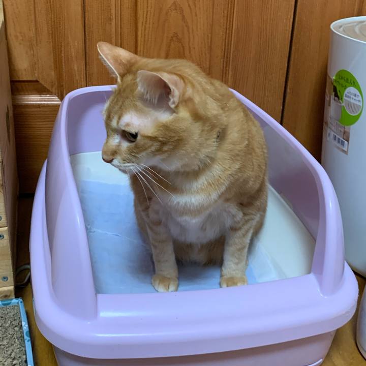 82102c26 477a 429d bce9 9c1c74ceac14 1581565278920