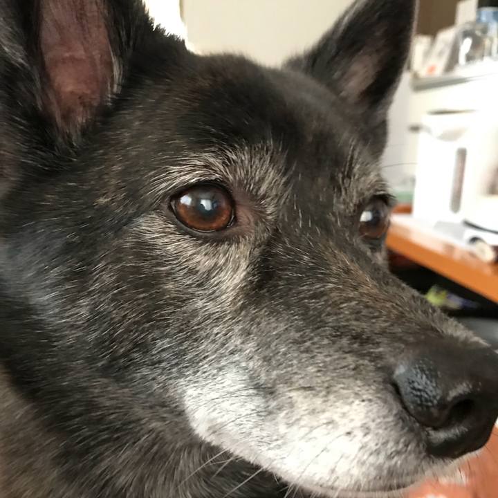 82102c66 abe5 41ab 8361 14c33b8d421d 1518956282637