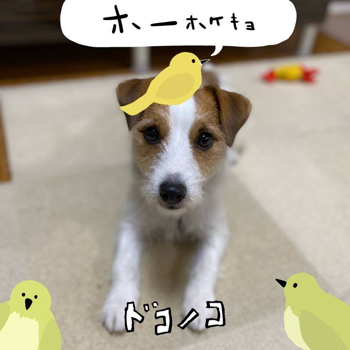 8210aa43 b346 4bfc ab70 4ada9a597047 1711021346481