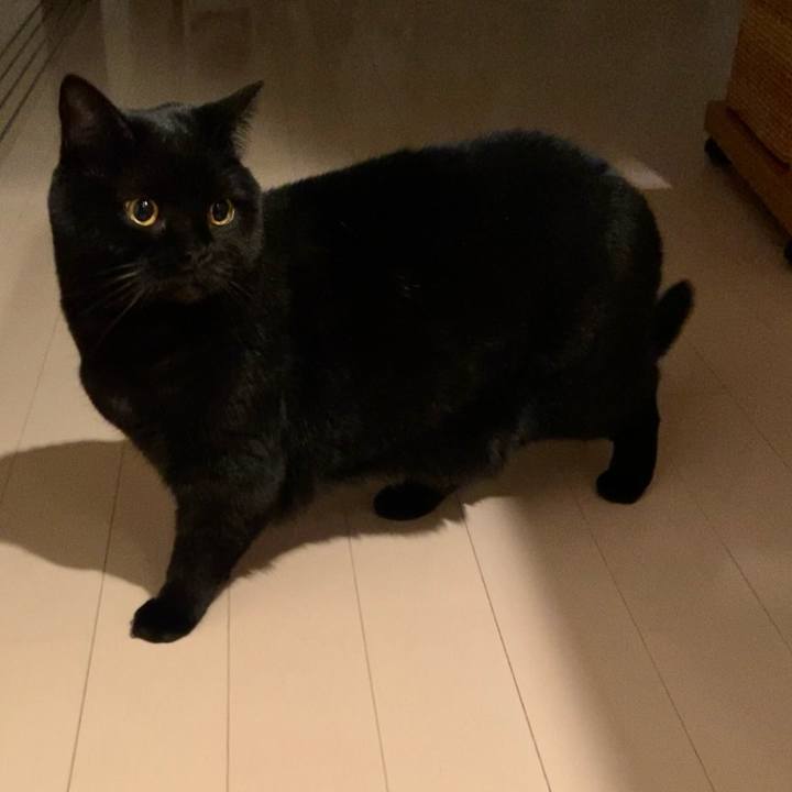 8210afc8 8877 40ae a9bb 0b86a8dc9367 1672060848982