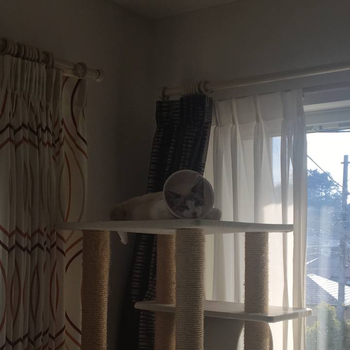 8210b9c7 d5ff 4467 892a 6e71a242e749 1514123919613