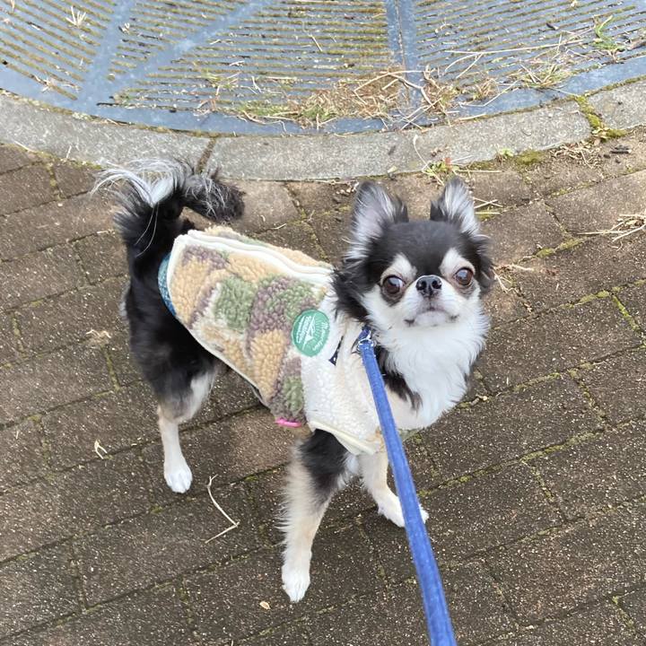 8210b9d5 00bd 4147 a9e5 1dd8685c78ca 1673754701142