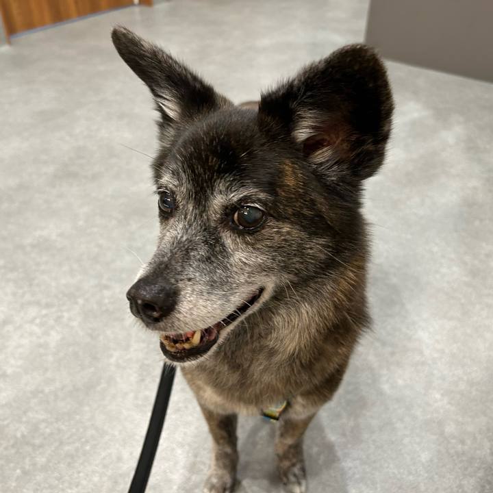 8210be69 3fef 4ca0 b262 2edf03d44893 1719455649875