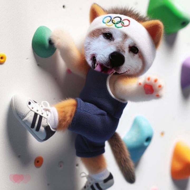 8210dd83 9d2f 40b2 bd2d df834f04858b 1723878012761