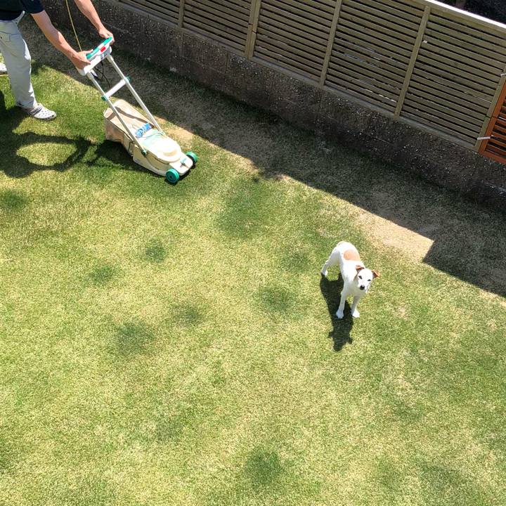 8210dd97 0edd 4521 8955 bb347261f401 1524295264883