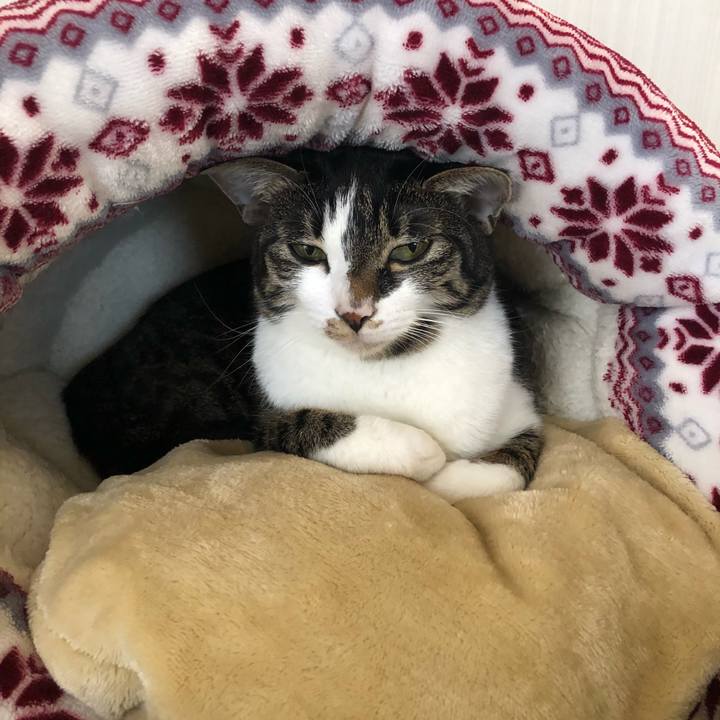 821108ef 5c48 4b25 bcc9 6b4e0771316f 1577306363549