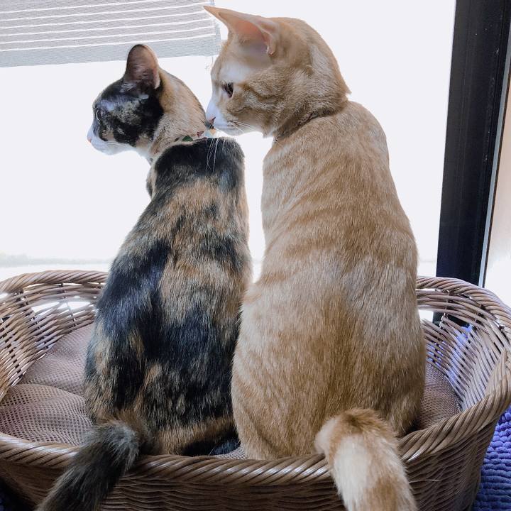 82111536 1eff 4776 96de 2c9d434eaa8f 1568605175361