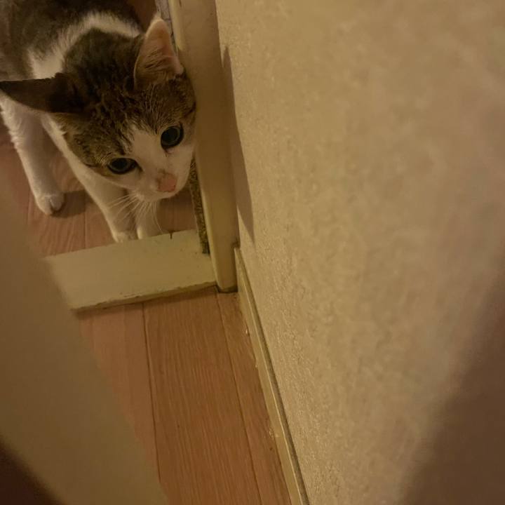 8211195f 381f 475c 98ab 0fc2a4710e41 1630741053956