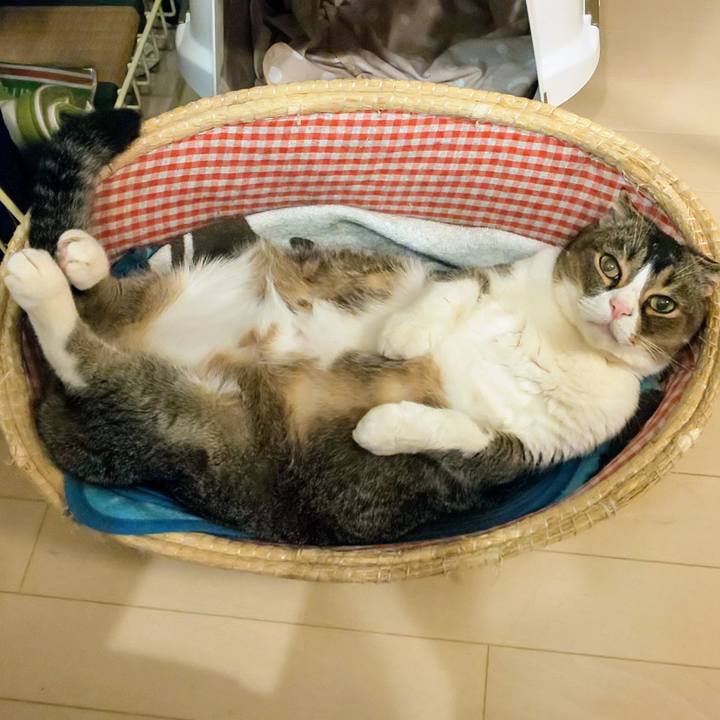 82111b7f 8c30 4d2c af1d 0a2193836421 1712495488783