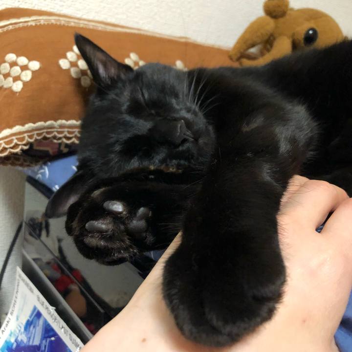 82114aba 0eda 4d44 a885 b4dcd1bbd4d6 1529752020157