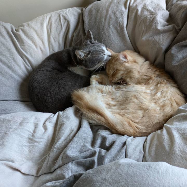 82117372 a443 4bd1 a6f0 0bd8bb452187 1730419853316