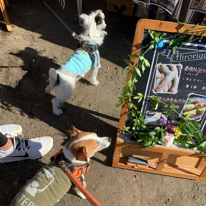 82119b9e 03f8 4386 9d8e 946392edafca 1638584665958