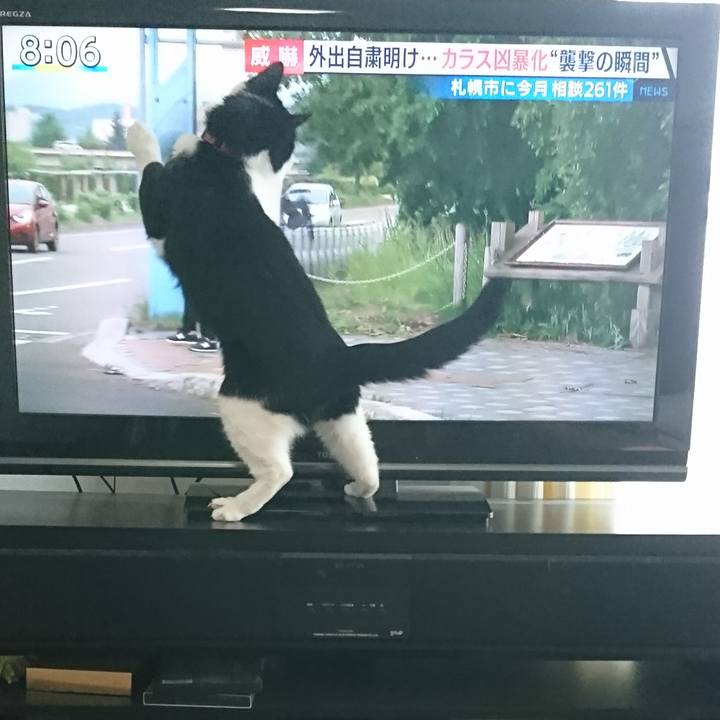 8211e102 9a92 4791 aa2b 6083504724ca 1592867245957