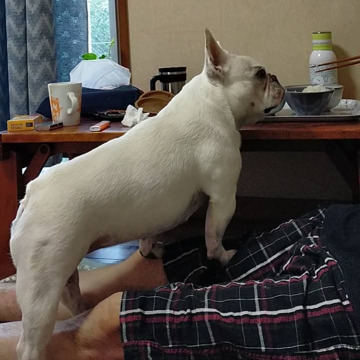 82122724 3ebb 45ed be37 9bc99b435736 1656889170660