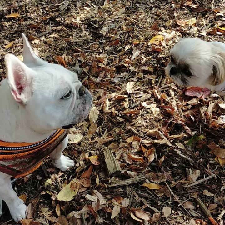 82123c30 e221 4fe8 94b8 ba2bed5ff1fe 1669091613753