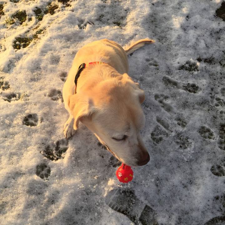 82123cbf b0f8 468f 924e c4f139121716 1512861780441