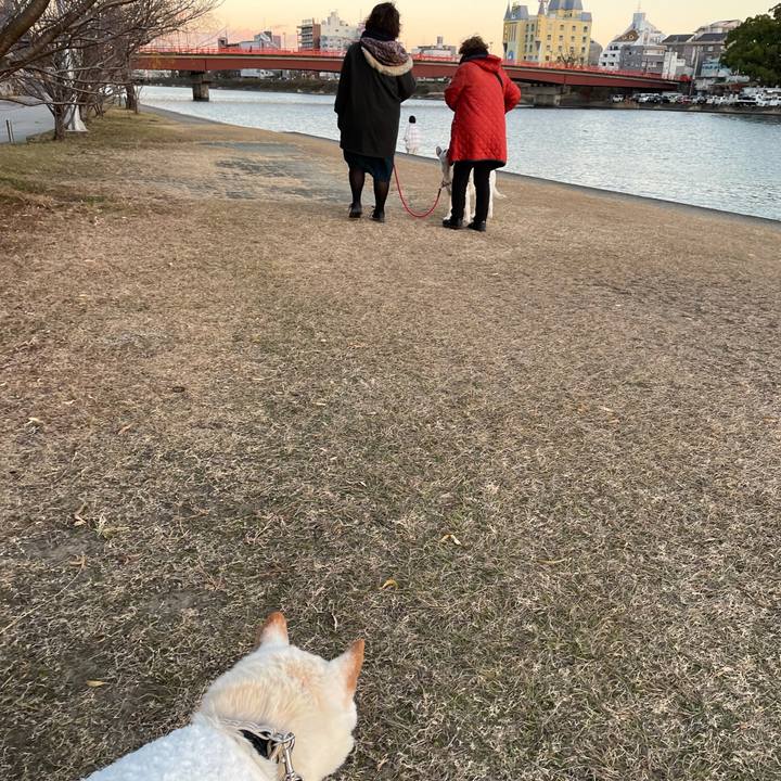 82124950 9940 4076 8893 403351862431 1640950971897