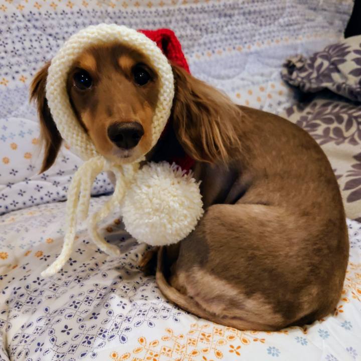 82124dbe 6827 466c 89de f09f3f03d4de 1703408702702